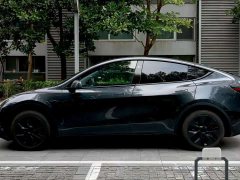 Tesla Model Y Rear-Wheel Drive - ფოტო 6
