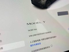 Tesla Model Y Rear-Wheel Drive - ფოტო 16