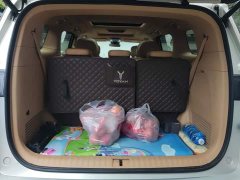 Voyah Lantu Dreamchaser PHEV Extended Range Excellence Edition - ფოტო 4