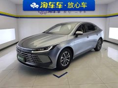 BYD Destroyer 05 Glory Edition DM-i 55KM Luxury - ფოტო 1