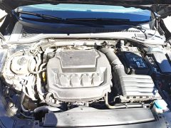 Volkswagen Passat 380TSI Starry Sky Luxury Edition - ფოტო 10