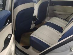 SAIC Whale 2.0T Blue Whale Edition - ფოტო 11