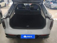 SAIC Whale 2.0T Blue Whale Edition - ფოტო 4