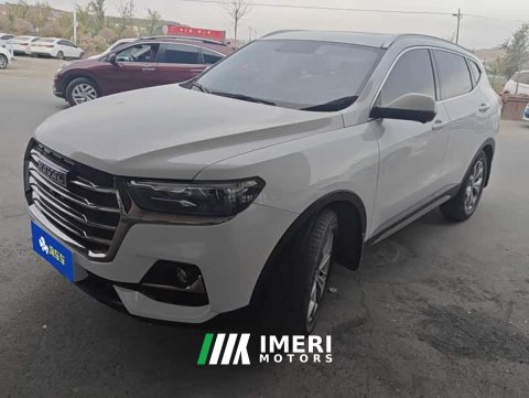 2022 Haval H6 National Trend 1.5T Automatic Champion Edition - ავტომობილი ჩინეთიდან