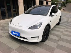 Tesla Model Y Long Range All-Wheel Drive 3D7 - ფოტო 1