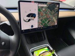 Tesla Model Y Long Range All-Wheel Drive 3D7 - ფოტო 13