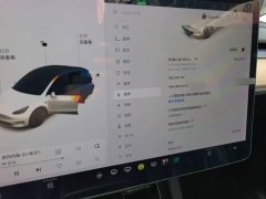 Tesla Model Y Long Range All-Wheel Drive 3D7 - ფოტო 14