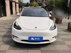 Tesla Model Y Long Range All-Wheel Drive 3D7 - ფოტო 2
