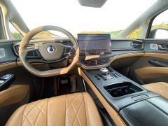 Denza D9 DM-i 970 AWD Flagship - ფოტო 12
