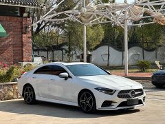 Mercedes-Benz CLS 300 Luxury - ფოტო 3