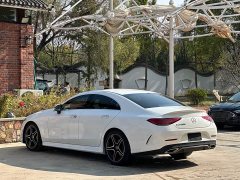 Mercedes-Benz CLS 300 Luxury - ფოტო 5
