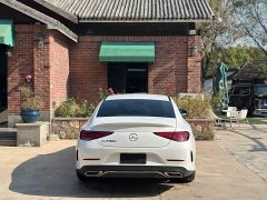 Mercedes-Benz CLS 300 Luxury - ფოტო 6