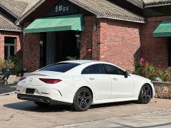 Mercedes-Benz CLS 300 Luxury - ფოტო 7