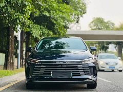 BYD Destroyer 05 Glory Edition DM-i 55KM Luxury - ფოტო 2