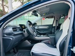 BYD Destroyer 05 Glory Edition DM-i 55KM Luxury - ფოტო 7