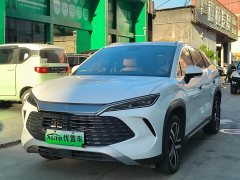 BYD Song L DM-i 112km Leading Edition - ფოტო 1