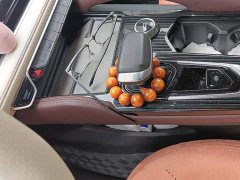 Geely Xingyue L 2.0T DCT EVO FWD Smart Premium Edition - ფოტო 10