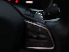 Geely Xingrui Facelift 2.0T Diesel Premium - ფოტო 14