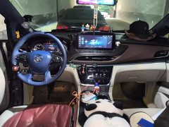 Buick GL8 Land Executive Cabin 652T Luxury - ფოტო 10