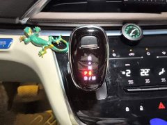 Buick GL8 Land Executive Cabin 652T Luxury - ფოტო 15