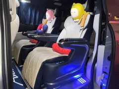 Buick GL8 Land Executive Cabin 652T Luxury - ფოტო 18