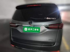 Buick GL8 Land Executive Cabin 652T Luxury - ფოტო 5