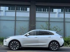 AITO Wenjie M5 Extended Range AWD Ultimate Edition - ფოტო 4