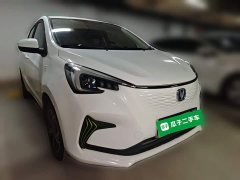 Changan Benben E-Star Pure Heart Edition Multicolor LFP - ფოტო 3