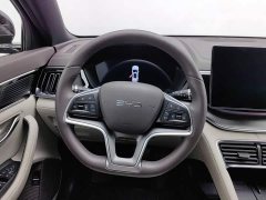 BYD Song Plus New Energy DM-i 112KM Prestige - ფოტო 11