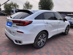 Honda CR-V 240TURBO Two-Wheel Drive Limited Commemorative Edition - ფოტო 3
