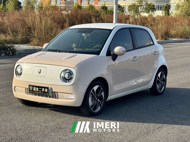 Ora Black Cat 351km Comfort Ternary Lithium - ავტომობილი ჩინეთიდან