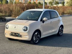 Ora Black Cat 351km Comfort Ternary Lithium - ფოტო 1