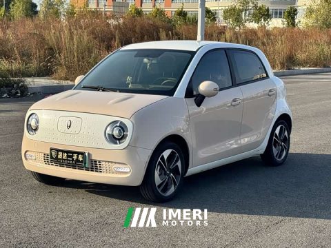 2022 Ora Black Cat 351km Comfort Ternary Lithium - ავტომობილი ჩინეთიდან
