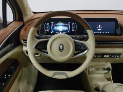 ORA Good Cat 401km Standard Range Luxury LFP - ფოტო 11