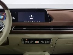 ORA Good Cat 401km Standard Range Luxury LFP - ფოტო 12