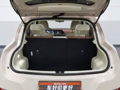 ORA Good Cat 401km Standard Range Luxury LFP - ფოტო 16
