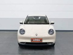 ORA Good Cat 401km Standard Range Luxury LFP - ფოტო 3