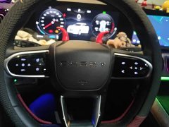 Chery Tiggo 9 2.0T DCT FWD Luxury 5-Seater - ფოტო 15