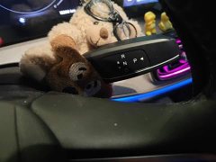 Chery Tiggo 9 2.0T DCT FWD Luxury 5-Seater - ფოტო 16
