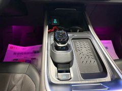 Ford Edge L 2.0T EcoBoost E Hybrid AWD Seven-Seat Premium - ფოტო 8