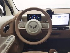 Wuling Hongguang MINIEV 5th Gen 301km Luxury Edition - ფოტო 11