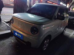 Geely Panda Mini 200km Endurance Edition - ფოტო 1