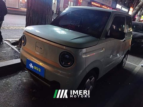 2025 Geely Panda Mini 200km Endurance Edition - ავტომობილი ჩინეთიდან