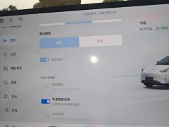 Geely Xing Yuan UP 410km Explorer Edition - ფოტო 20
