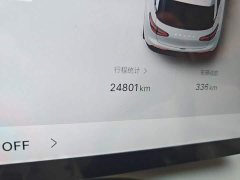 Geely Xing Yuan UP 410km Explorer Edition - ფოტო 8
