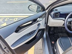 BYD Qin Plus DM-i 55KM Flagship - ფოტო 11