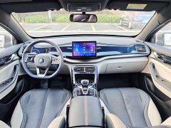 BYD Qin Plus DM-i 55KM Flagship - ფოტო 7