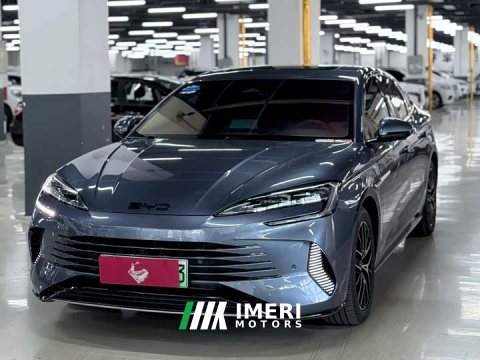 2023 BYD Seal DM-i 1.5T 121km Premier - car from China
