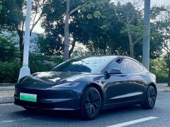 Tesla Model 3 Rear-Wheel Drive - ფოტო 1