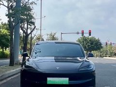 Tesla Model 3 Rear-Wheel Drive - ფოტო 2